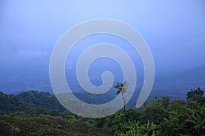 Landscape of Phu Thap Boek mountain in the morning with fog