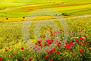 Landscape of Piano di Castelluccio