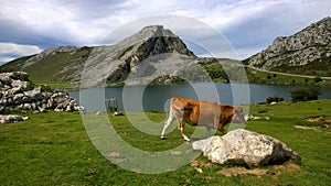 Landscape in Picos de Europa, Asturias, Spain