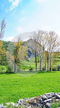 landscape of Picos de Europa, Principality of Asturias, Asturias and Autonomous community of Castilla y LeÃ³n photo