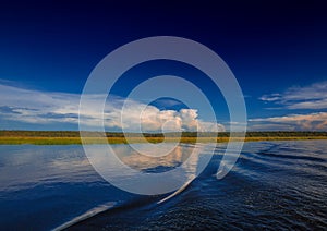 Landscape picture of the Chobe River at the Chobe National Park in Botsuana