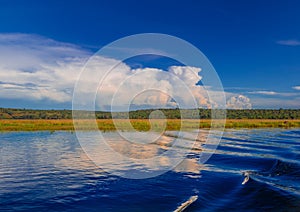 Landscape picture of the Chobe River at the Chobe National Park in Botsuana photo