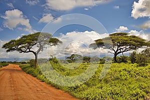 Landscape pictures from the National Park Tsavo East Tsavo West and Amboseli