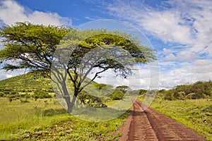 Landscape pictures from the National Park Tsavo East Tsavo West and Amboseli