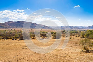 Landscape from Pilanesberg National Park, South Africa