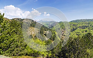 Landscape in Pindus mountains (1600m), Epirus, Greece photo