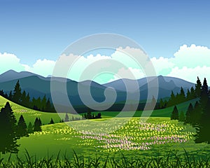 Landscape with pine forest and mountain background