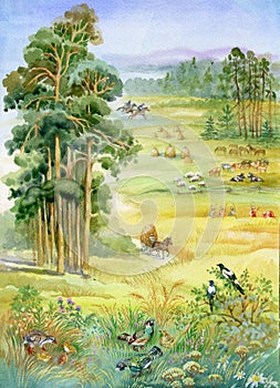 Landscape with pine trees