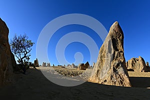 Landscape of the Pinnacle desert limestone formations