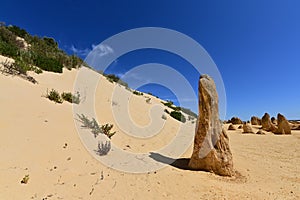 Landscape of the Pinnacle desert limestone formations