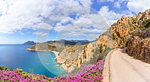 Landscape with Plage de Bussaglia, Corsica