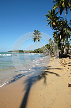 Landscape of playa Bonita at Las Galeras