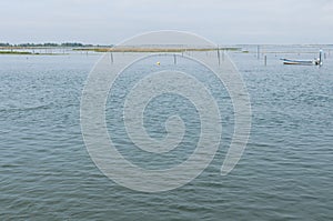 Landscape of the Po river estuary lagoon