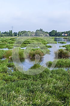 Landscape at Poelgeest polder