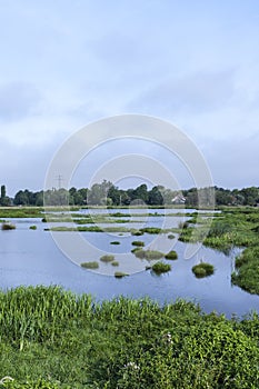 Landscape at Poelgeest polder