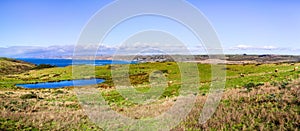 Landscape in Point Reyes National Seashore with Tule Elks grazing on the grasslands close to a pond; The Pacific Ocean visible in