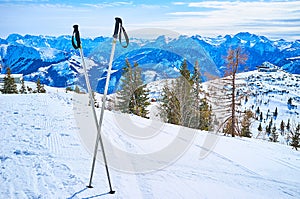 The landscape with poles, Feuerkogel Mountain plateau, Ebensee, Salzkammergut, Austria