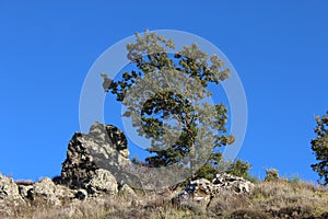 Landscape of Pollino national park, a wide natural reserve in Basilicata and Calabria, italian regions