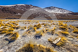 Landscape of the Polques Hot Springs in Eduardo Avaroa National Park, Bolivia