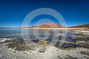 Landscape of the Polques Hot Springs in Eduardo Avaroa National Park, Bolivia