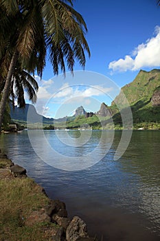 Landscape polynesia