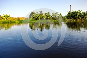 Landscape of ponds and backyard photo