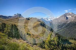 Landscape of Pontresina trekking area