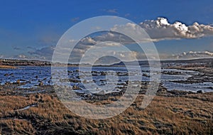 Landscape at Portugal Cove on Avalon Peninsula in Newfoundland, Canada