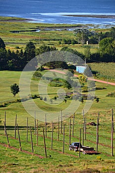 Farming Landscape in Prince Edward Island, Canada photo