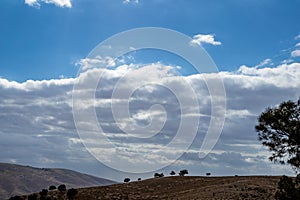 Landscape, Promised Land from Mount Nebo, Jordan