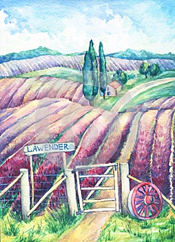 Landscape in Provence. Colorful blooming lavender fields with rural house, nameplate, cart-wheel and fence.