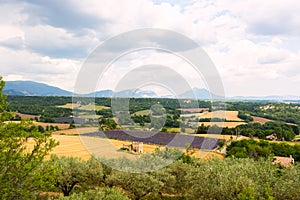 Landscape of Provence, France