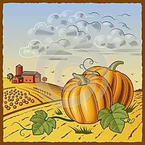Landscape with pumpkins