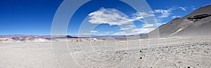 Landscape at the Puna de Atacama with volcano Carachi Pampa in the background, Argentina