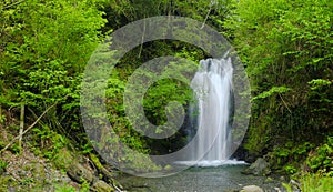 Landscape of the Putzubeltz waterfall in the forest, Navarre.