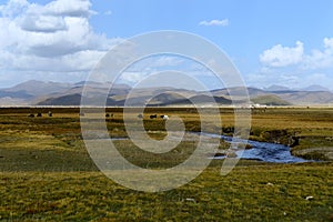 Landscape of Qilian Mountains