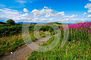 Landscape at Queens View in Scotland