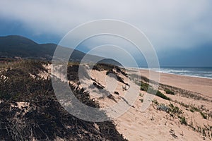 Landscape of Quiaios Beach with sand dunes in the fog