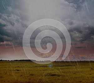 Landscape of rain over country field