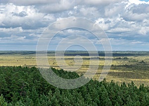 Landscape from Rannametsa vaatetorn, panoramic view of Tolkuse bog hiking trail over the tops of trees from the tower, PÃ¤rnu