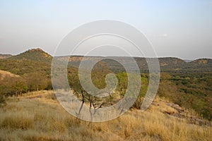 Landscape of Ranthambore NP