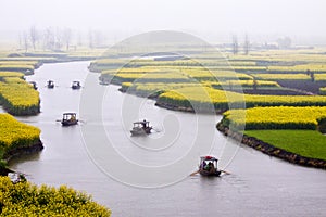 Landscape of Flowers field, countryside scenery