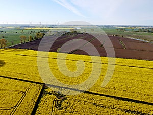 Landscape of rapeseed fields from drone flight in Poland