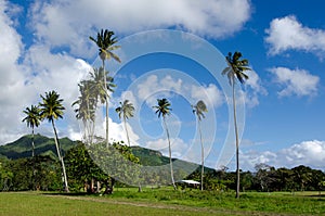 Landscape of Rarotonga Cook Islands photo