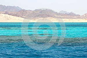 Ras Mohammed in the Red Sea, Egypt photo