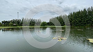 Landscape and recreational park