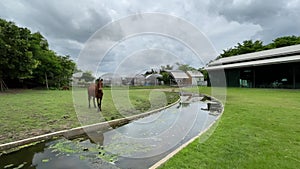 Landscape and recreational park