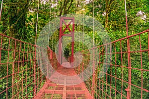 Landscape of red hanging bridge in the cloud forest