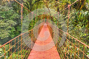 Landscape of red hanging bridge in the cloud forest