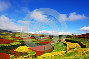 Landscape of red land